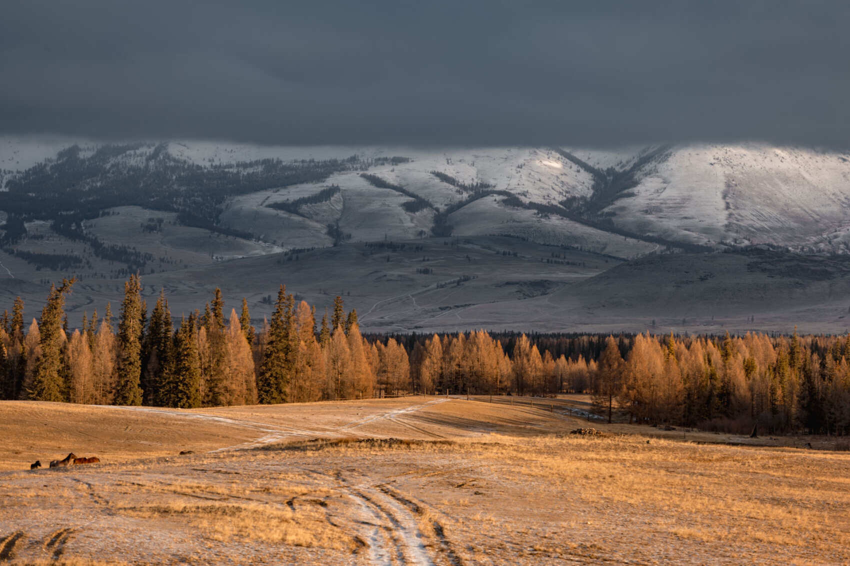 Бархатный сезон с фотографом (26/53)