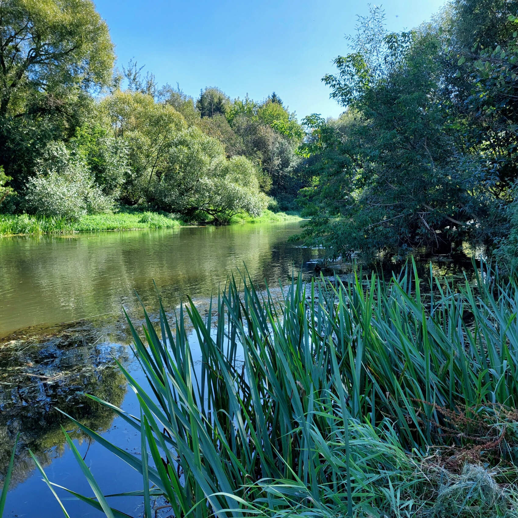 Однодневный сплав на байдарках по реке Истра (2/14)