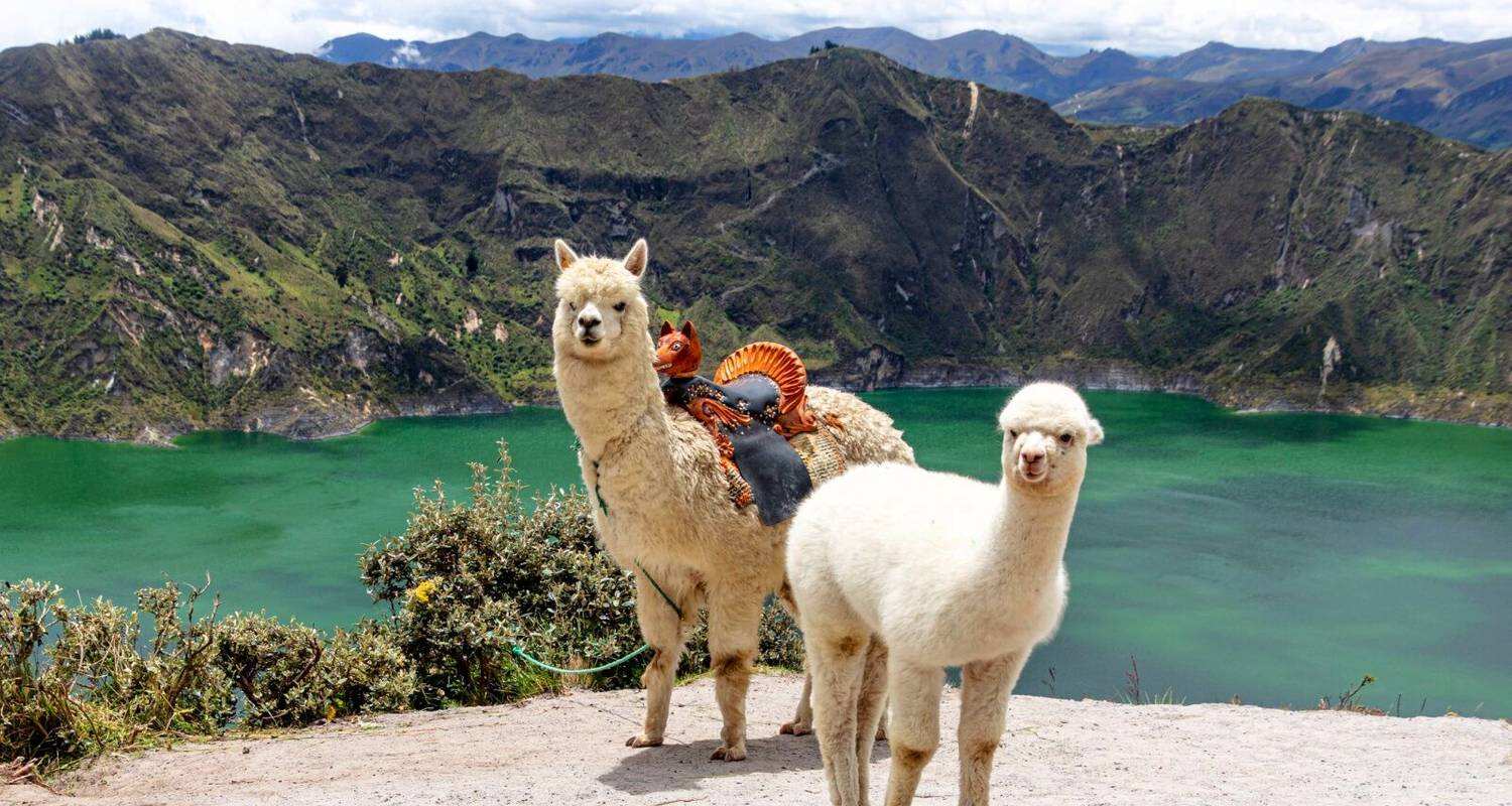 8 дней знакомства с Эквадором: от высокогорья до горячих источников (2/31)