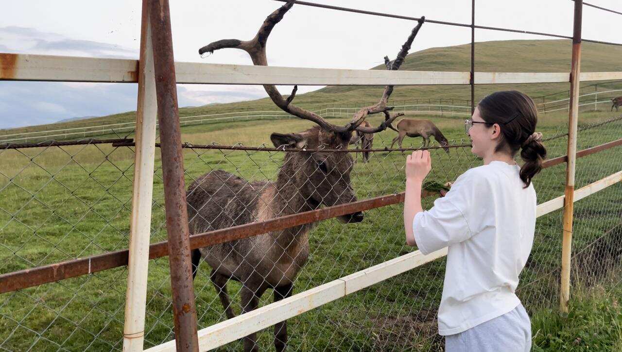 К оленям в аул Кулушац в Дагестан (5/14)