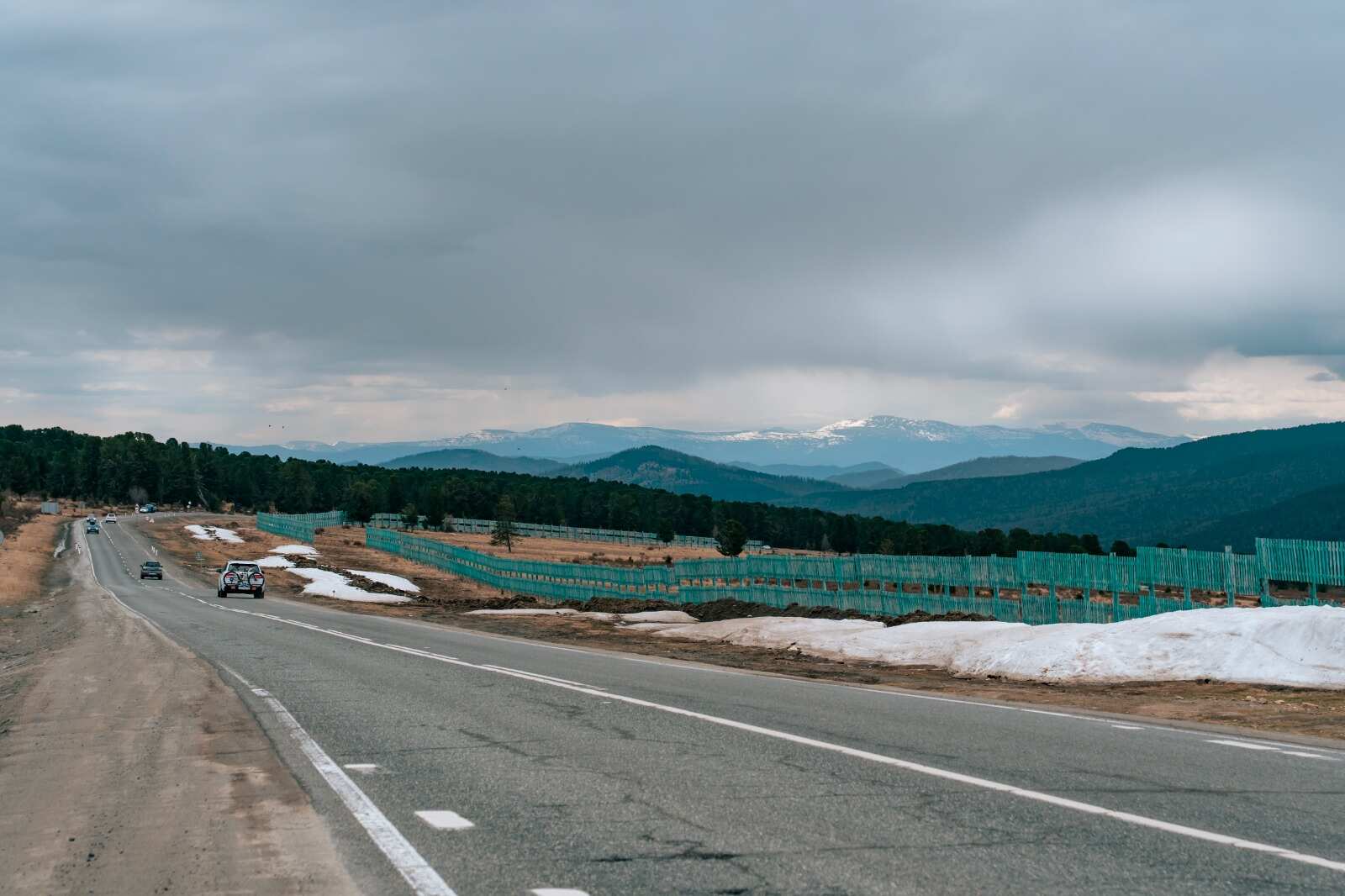 Туда, где цветет маральник (2/13)