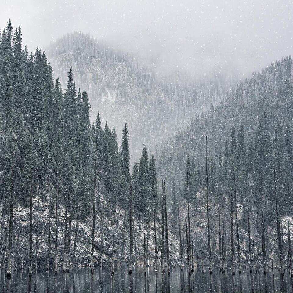 Экспресс тур: озера Кольсай и Кайынды, Чарынский и Черный каньоны. (5/12)