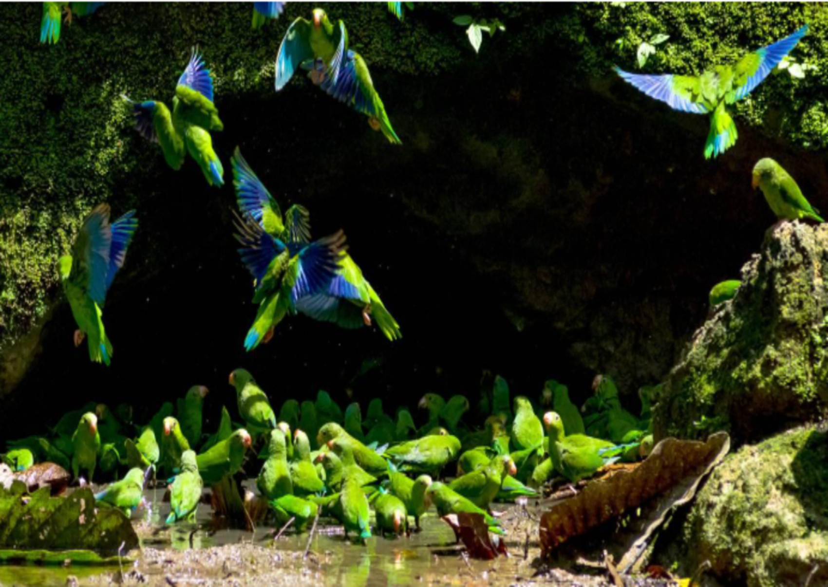 7-дневная экспедиция на байдарках Waranies (7/16)