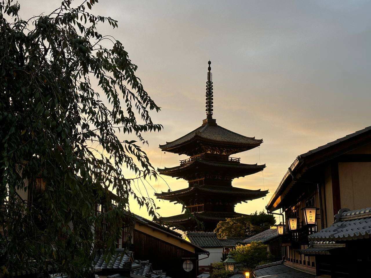 Навстречу гейшам и самураям. Япония на цветение и фестиваль 2026 (22/64)