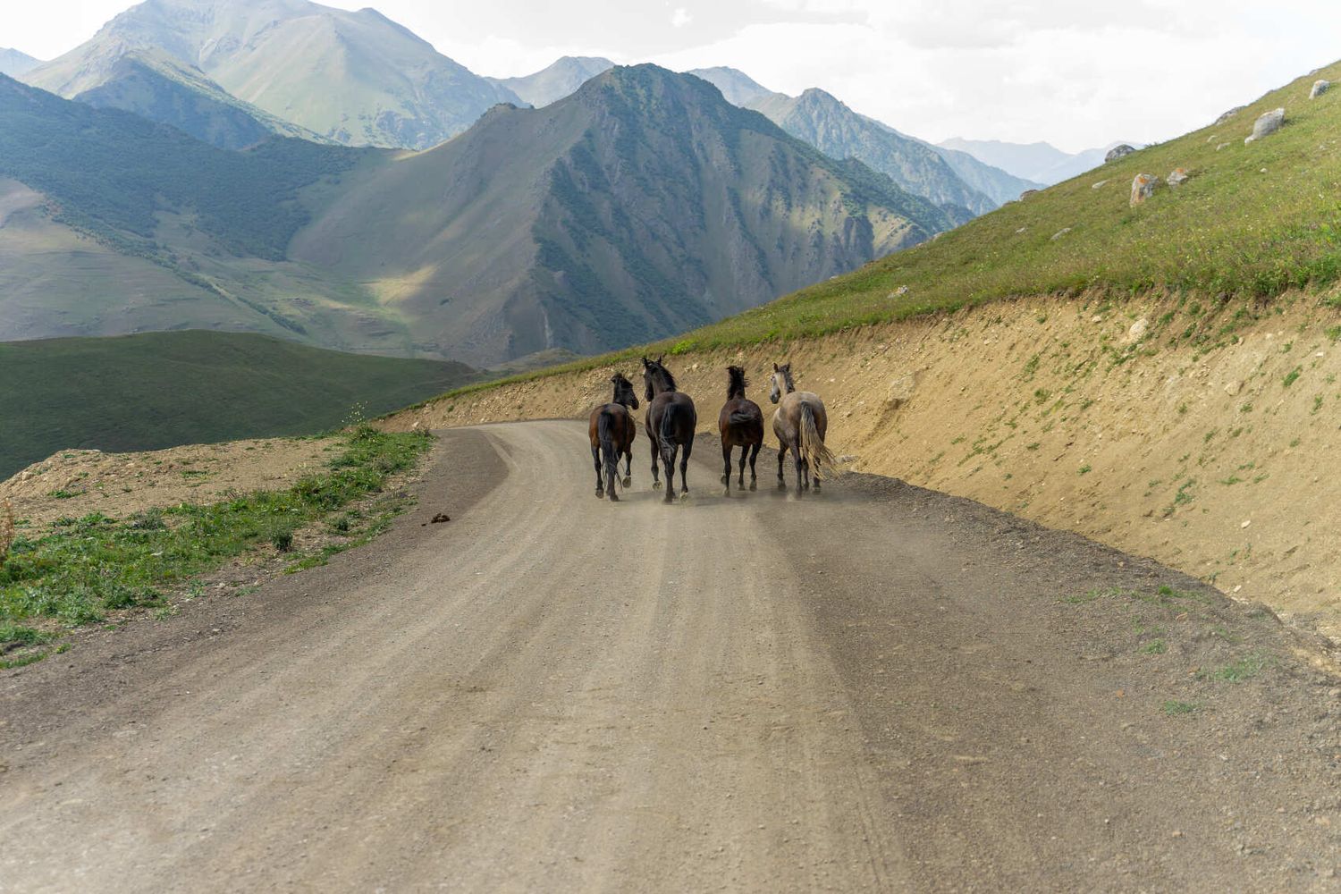 Северная Осетия и Кабардино-Балкария (49/91)