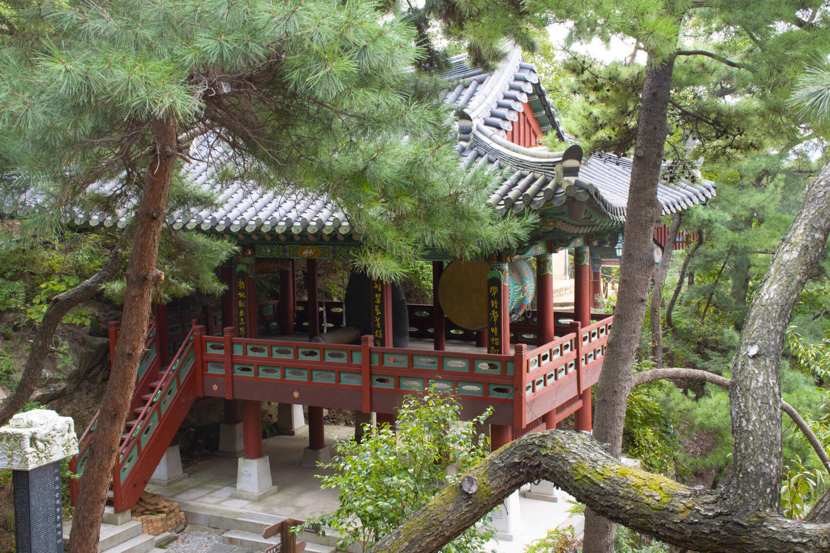 Южная Корея. Сакура в утренней свежести (6/34)