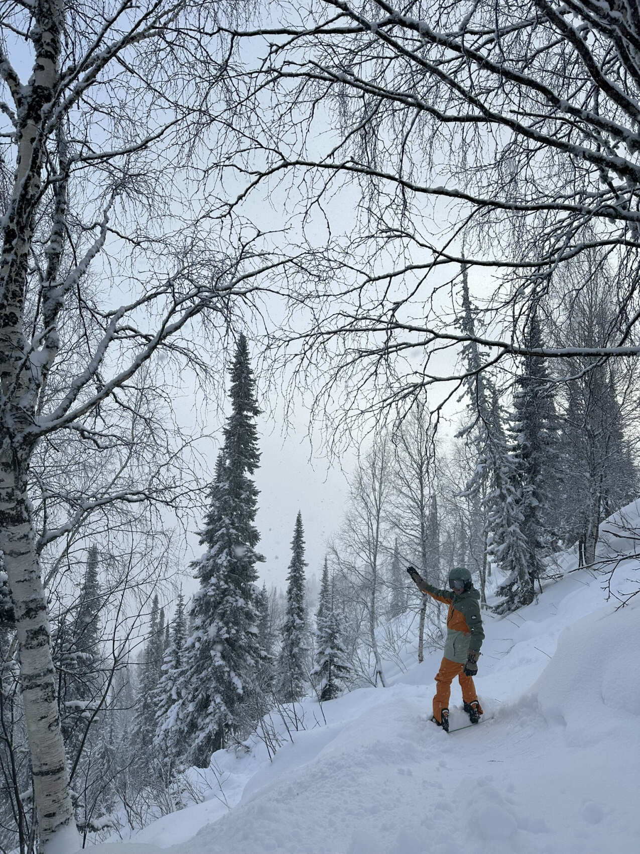 Восторг в Шерегеше! +Обучение лыжам и борду (45/68)