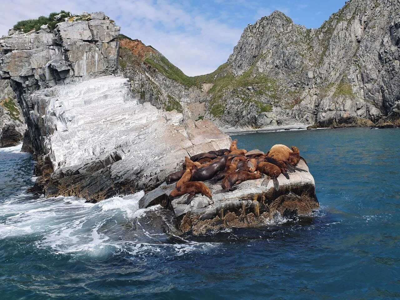 Камчатка: твое доступное путешествие мечты! Комфорт-тур, 7 дней (22/25)