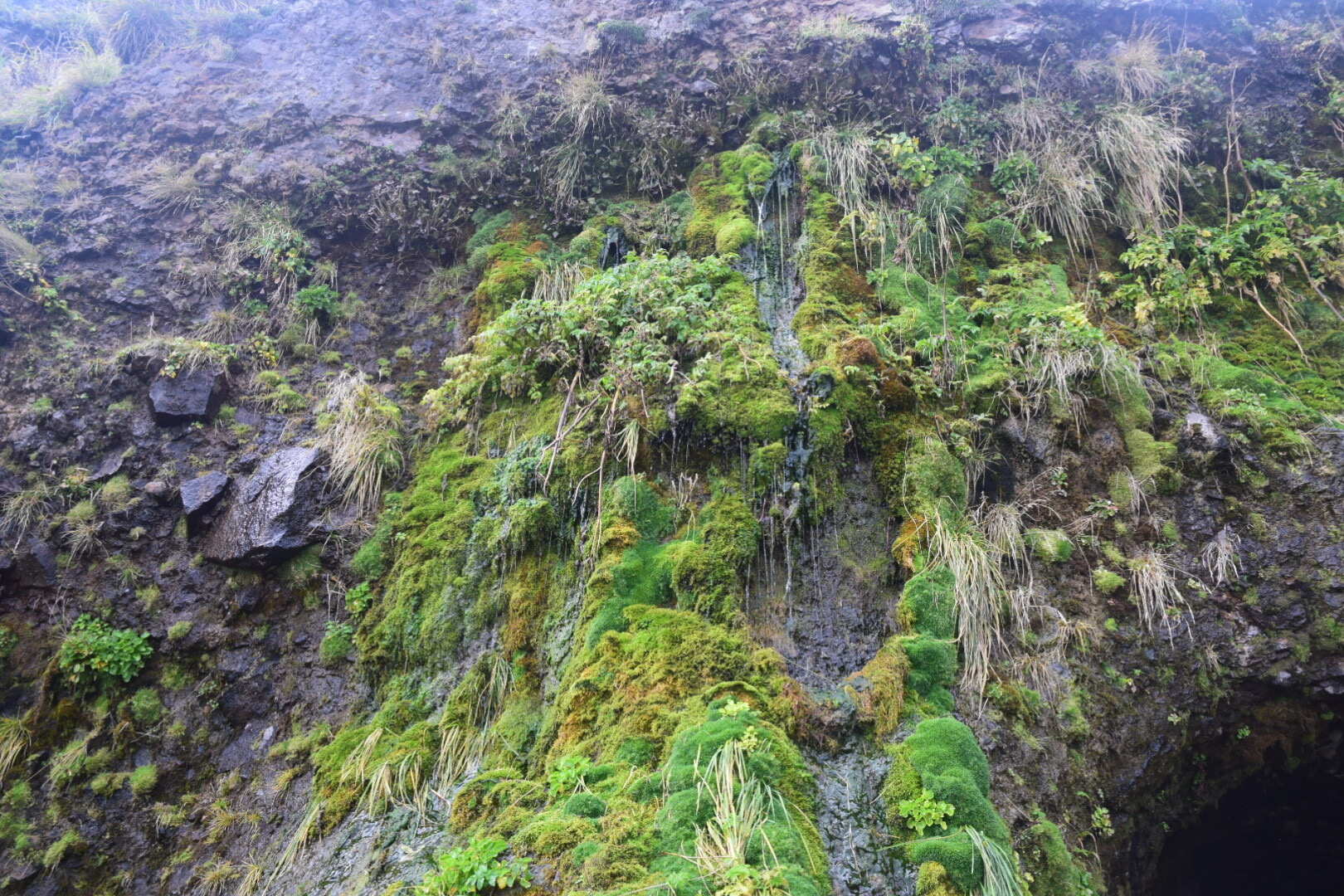 Пленительный Итуруп (11/35)