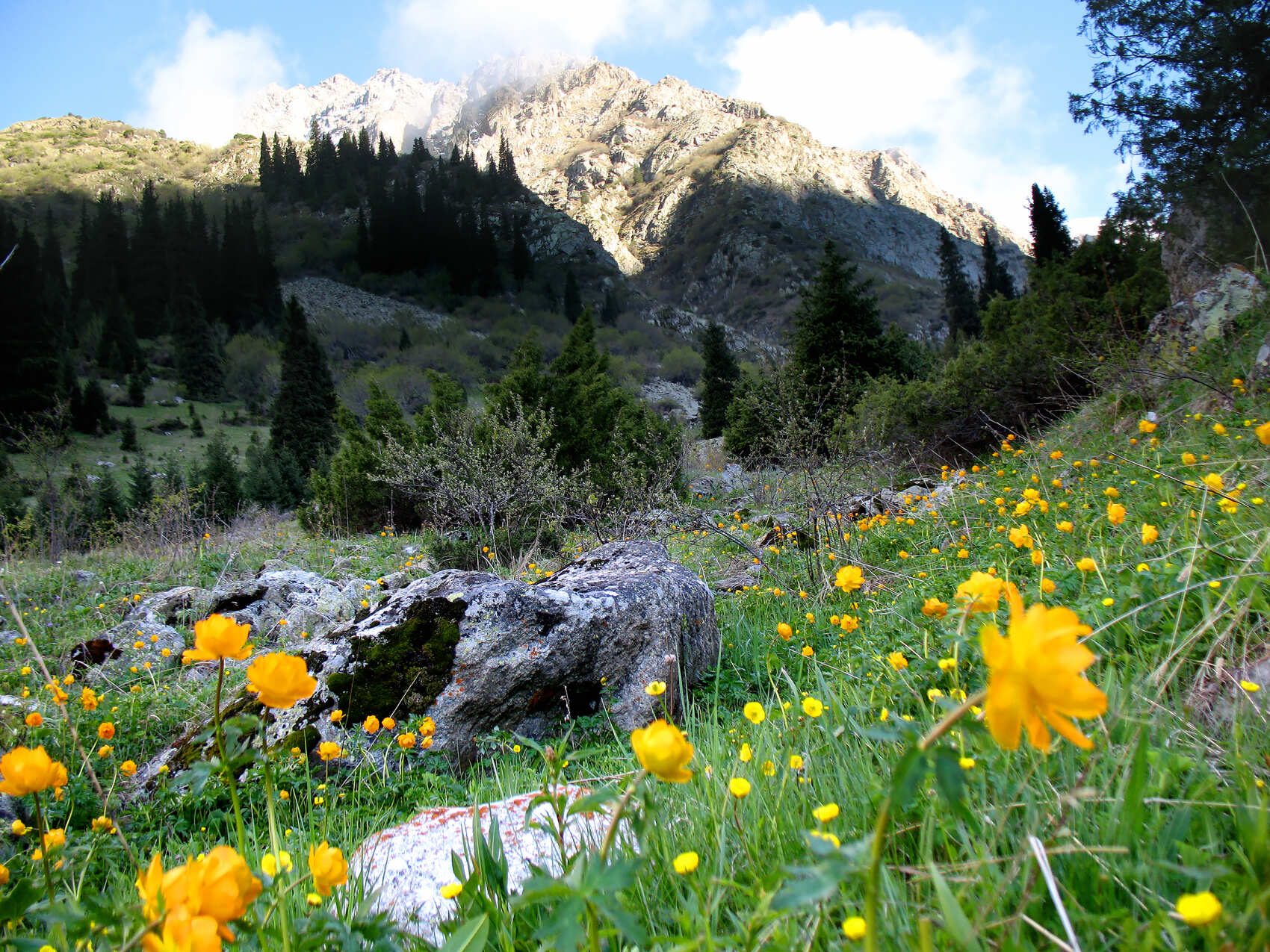 Из Бишкека в горы Тянь-Шаня! (1/16)