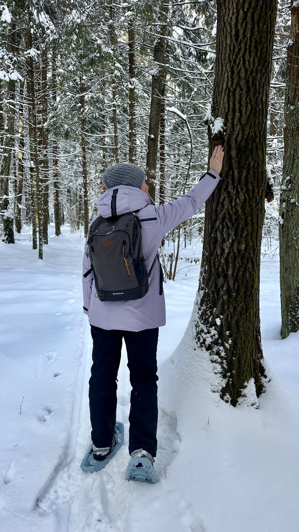 Поход на снегоступах Русский север в Подмосковье (8/11)