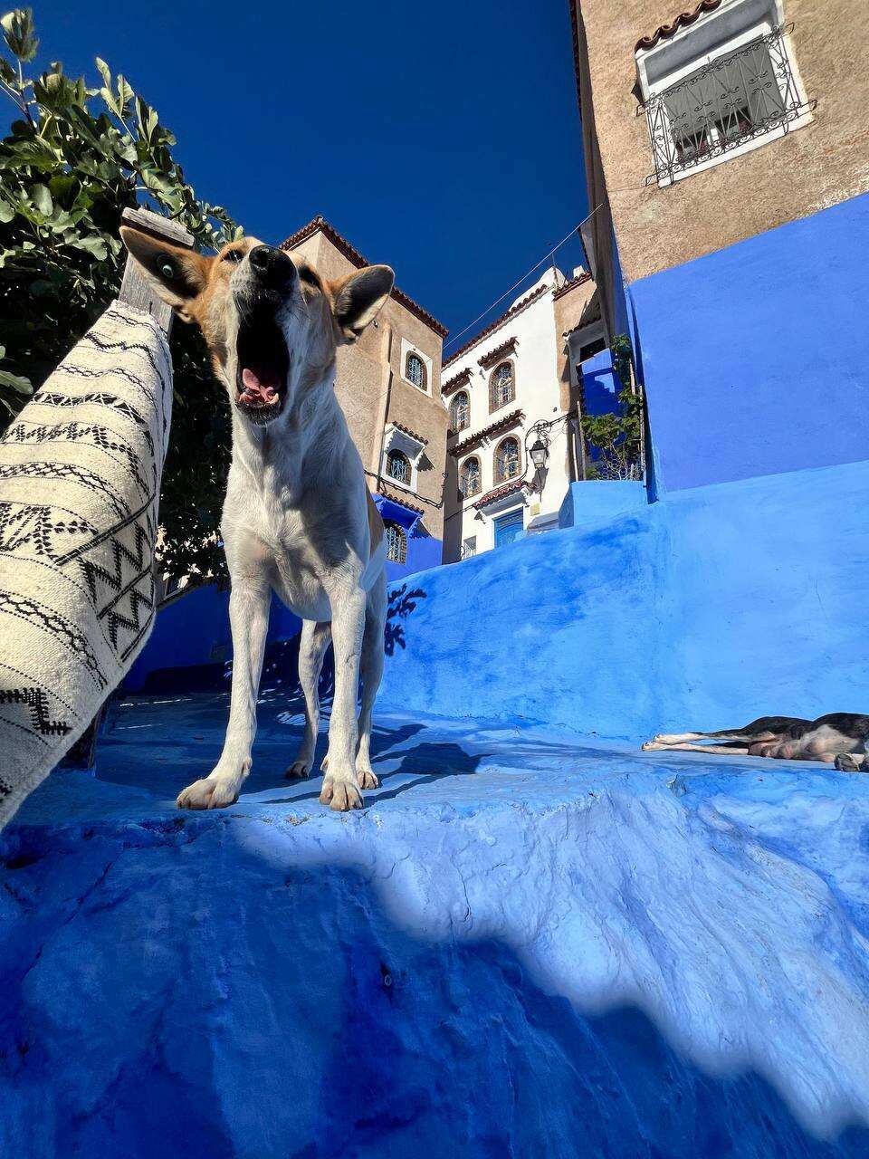 Марокко с душой. 2 ночи в Сахаре и калейдоскоп древних городов, высокий комфорт! (55/93)