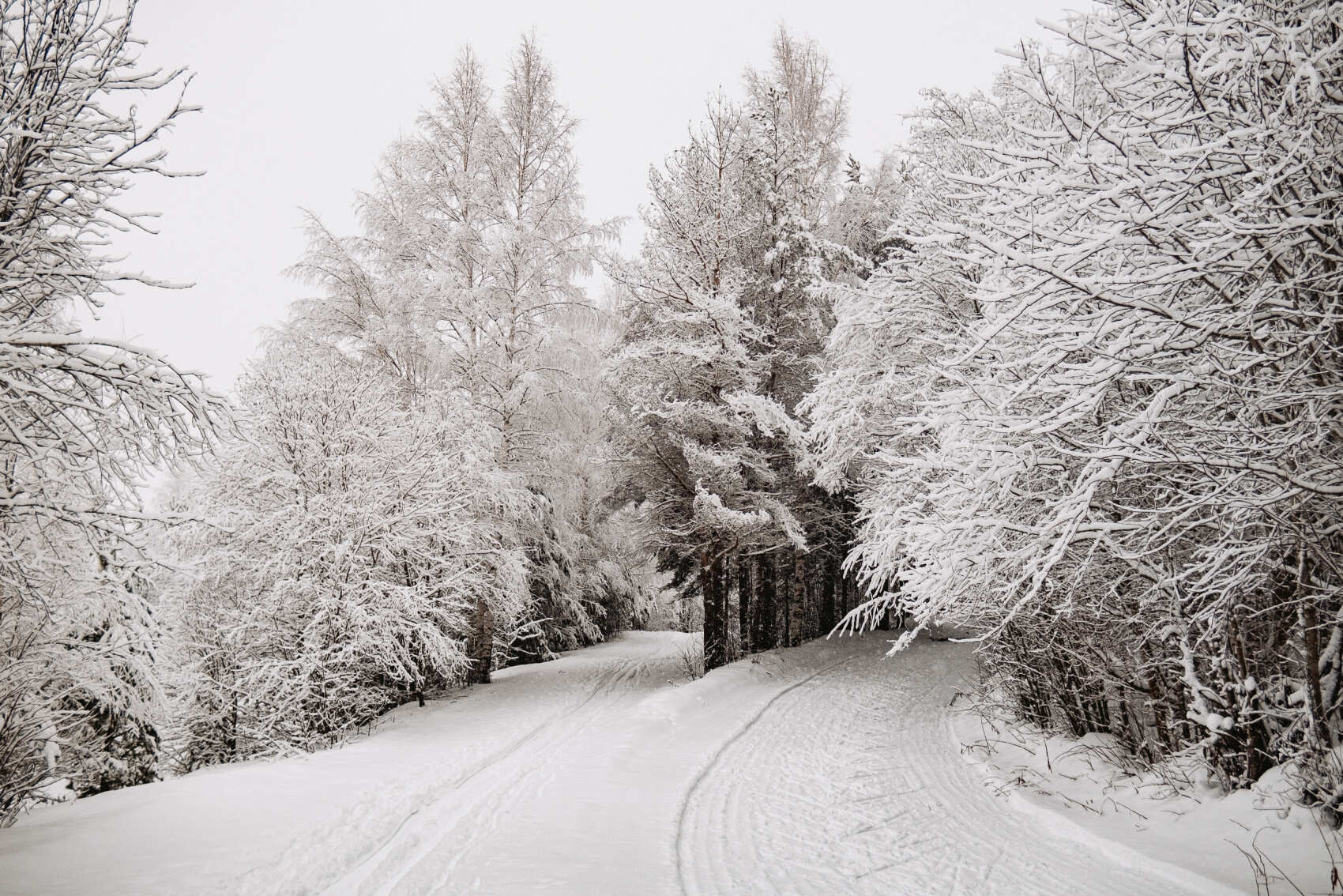 Лыжные тренировки в Санкт-Петербурге. Базовый уровень (18/28)