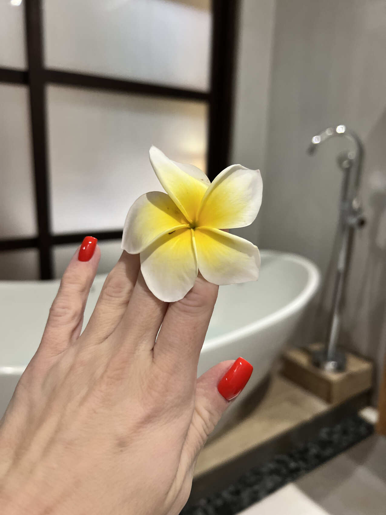 Фото-девичник на Бали за 10 дней (75/167)