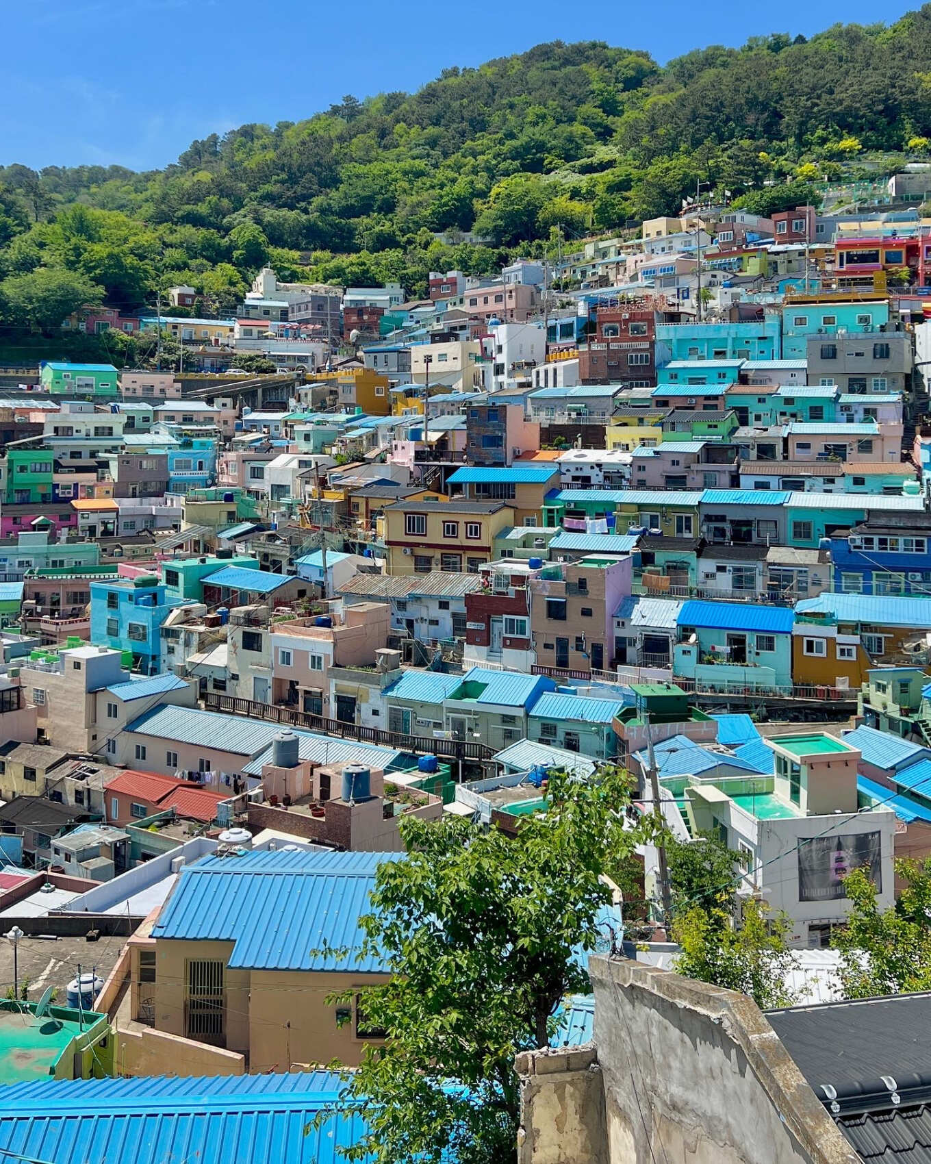 Южная Корея и остров Чеджу. (58/101)