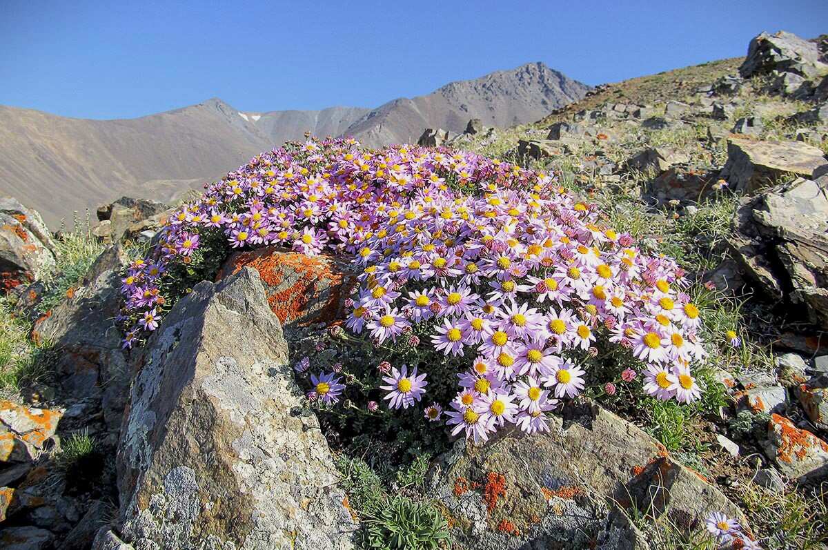 ЭКСКЛЮЗИВ АРМЕНИЯ - ПРИКЛЮЧЕНЧЕСКИЙ ТУР (3/31)
