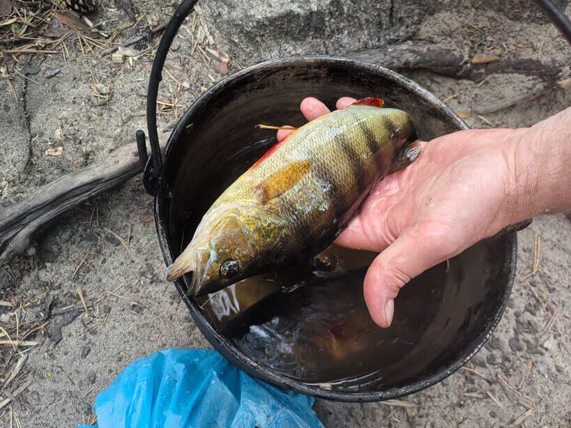 Сплав по реке Тумча (22/33)