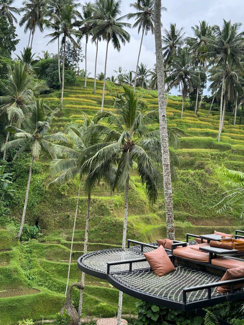 5 островов Индонезии (Бали, Нуса Пенида, Ява, Флорес, Комодо) 13 дней (62/122)