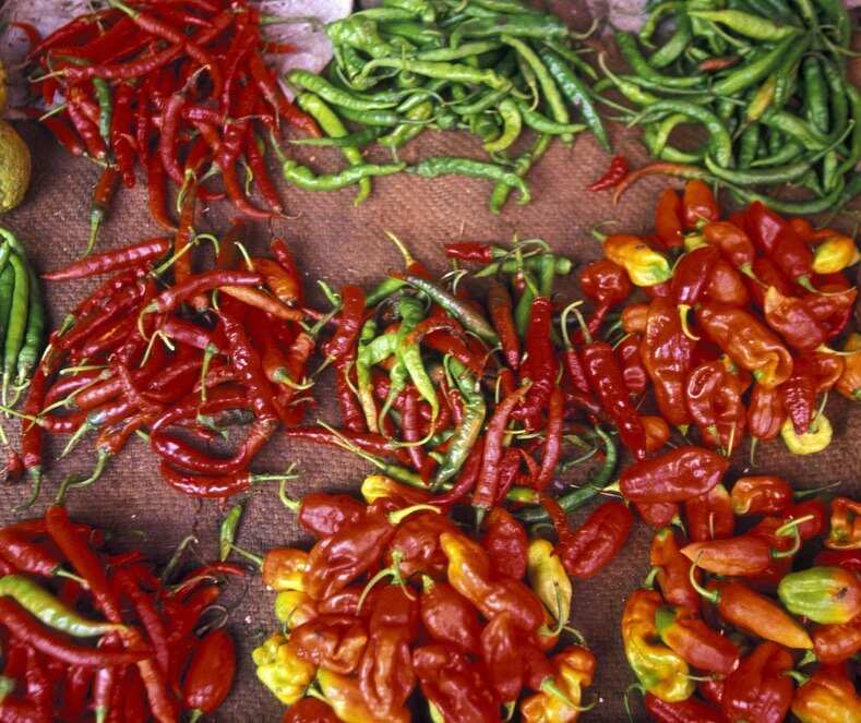 Удивительный Занзибар  и Один День В Танзании, увидеть большую пятёрку (25/89)