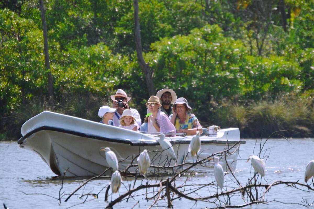 Форт Галле, черепаховая ферма, речное- и джип-сафари (1 день) (6/7)