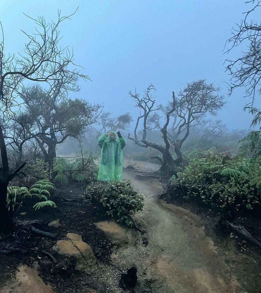 5 островов Индонезии (Бали, Нуса Пенида, Ява, Флорес, Комодо) 13 дней (32/122)