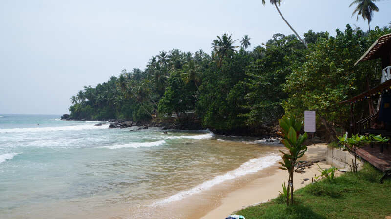 Экотрип на Шри-Ланку (54/86)