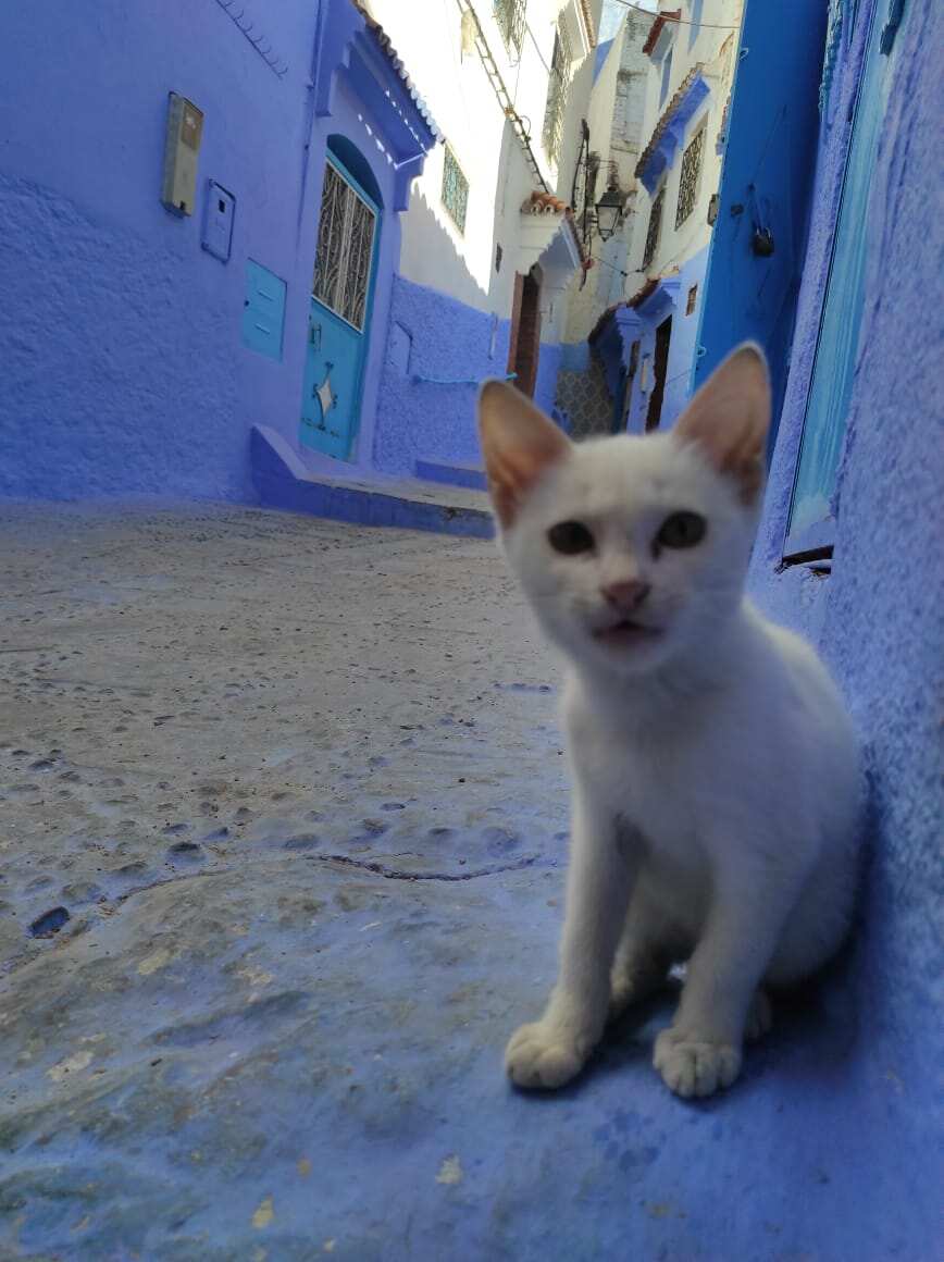 Авторский тур в Марокко (Полупансион) (9/59)