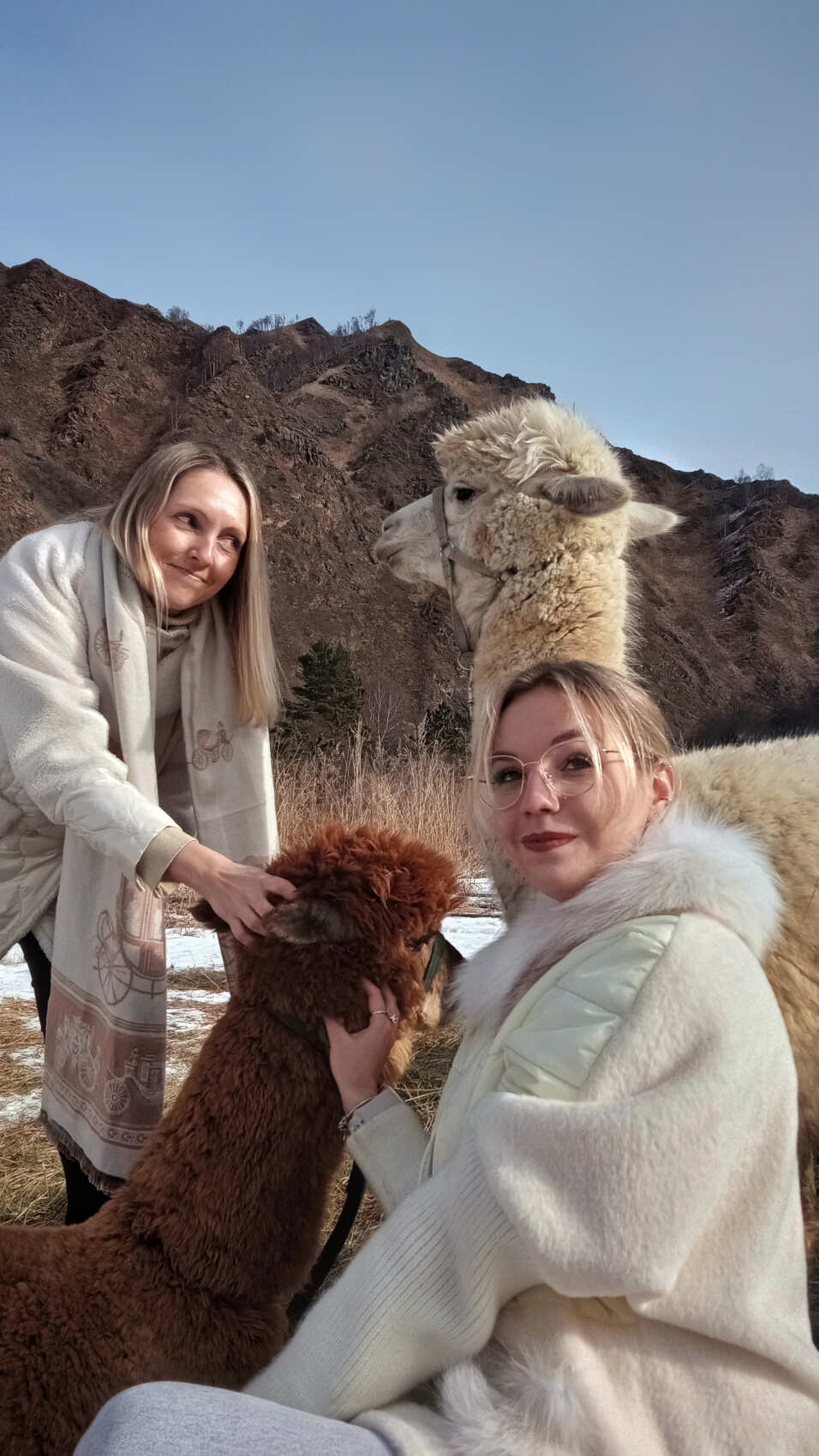 Индивидуальная поездка на ферму альпак — День с плюшевыми милашками (6/18)