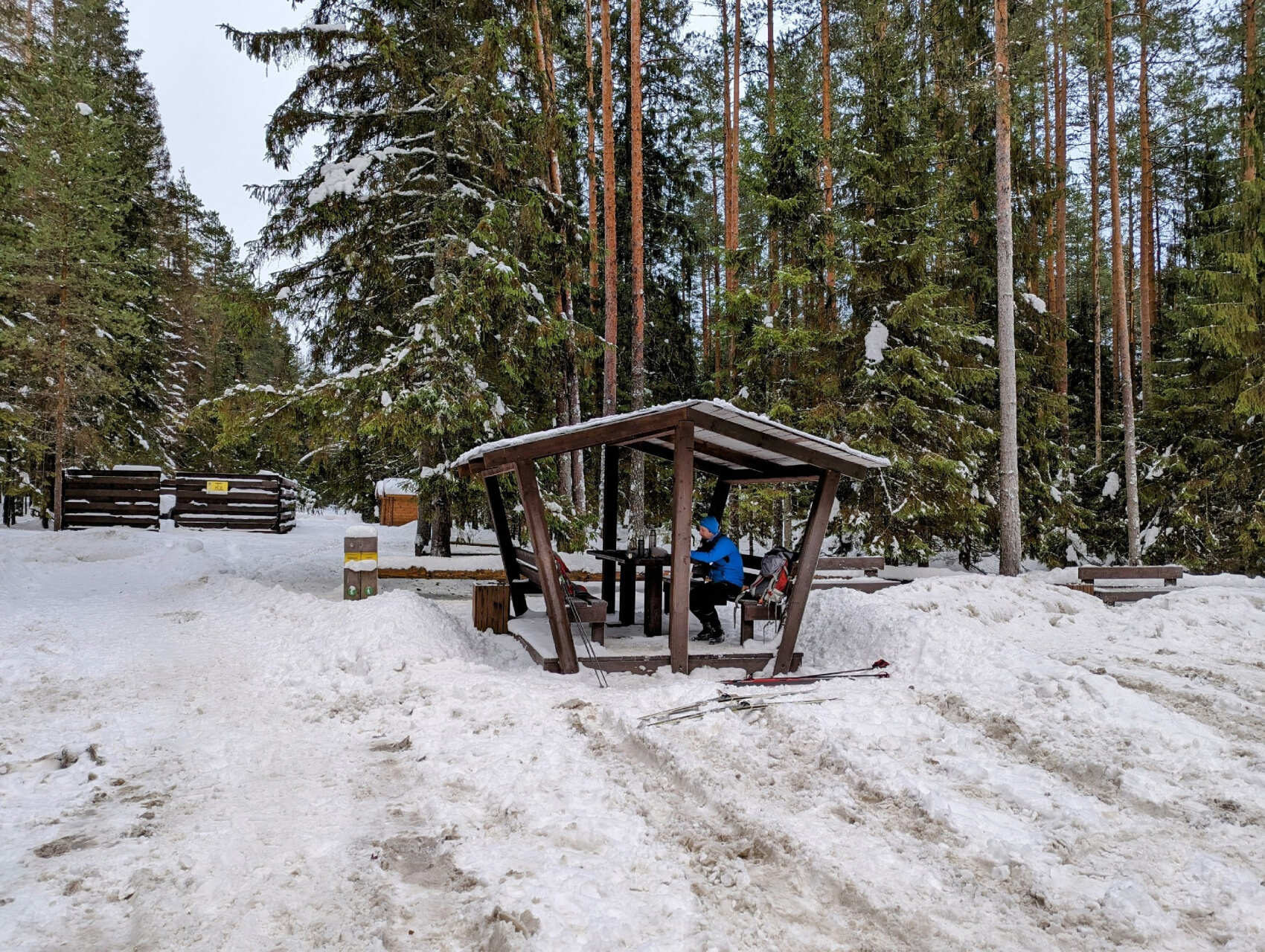 Лыжная прогулка по Линдуловской роще. Однодневный выезд из Петербурга (9/10)