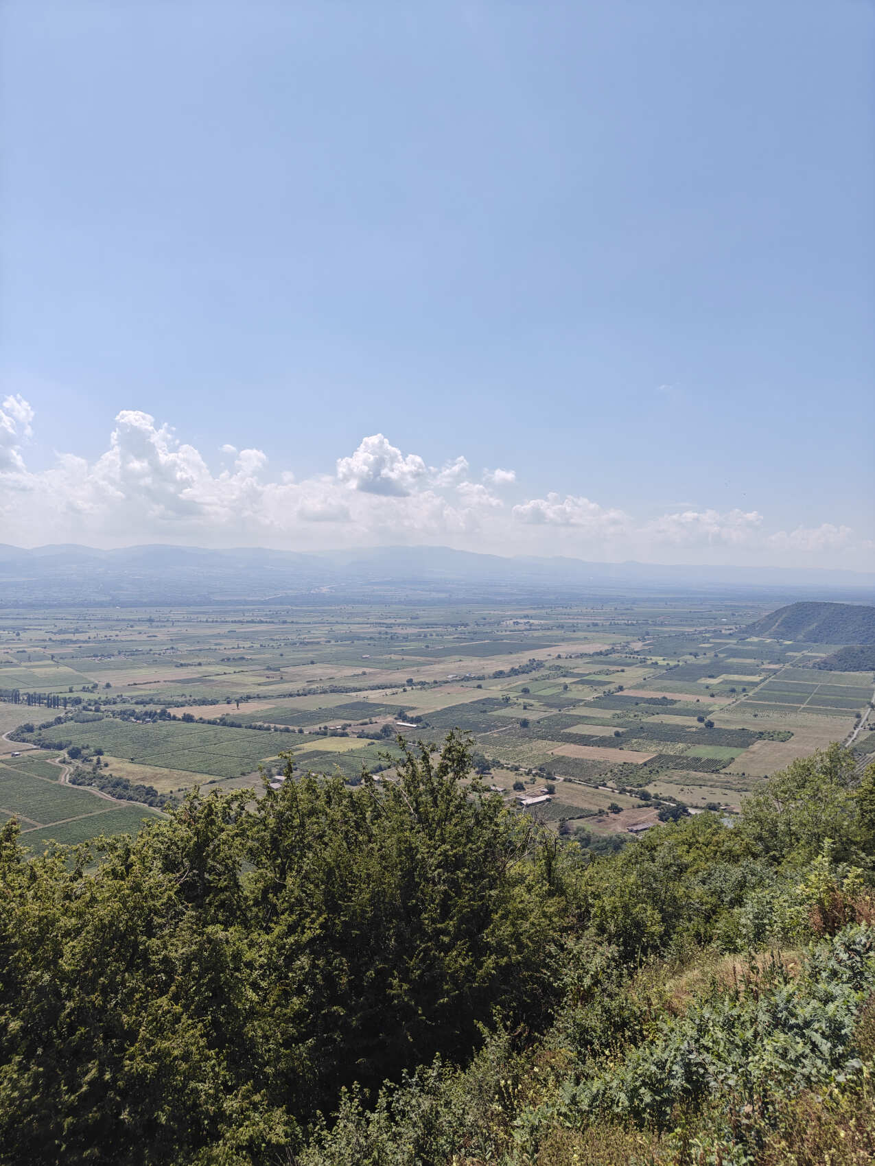 Кахетия. Горы и вино (5/24)