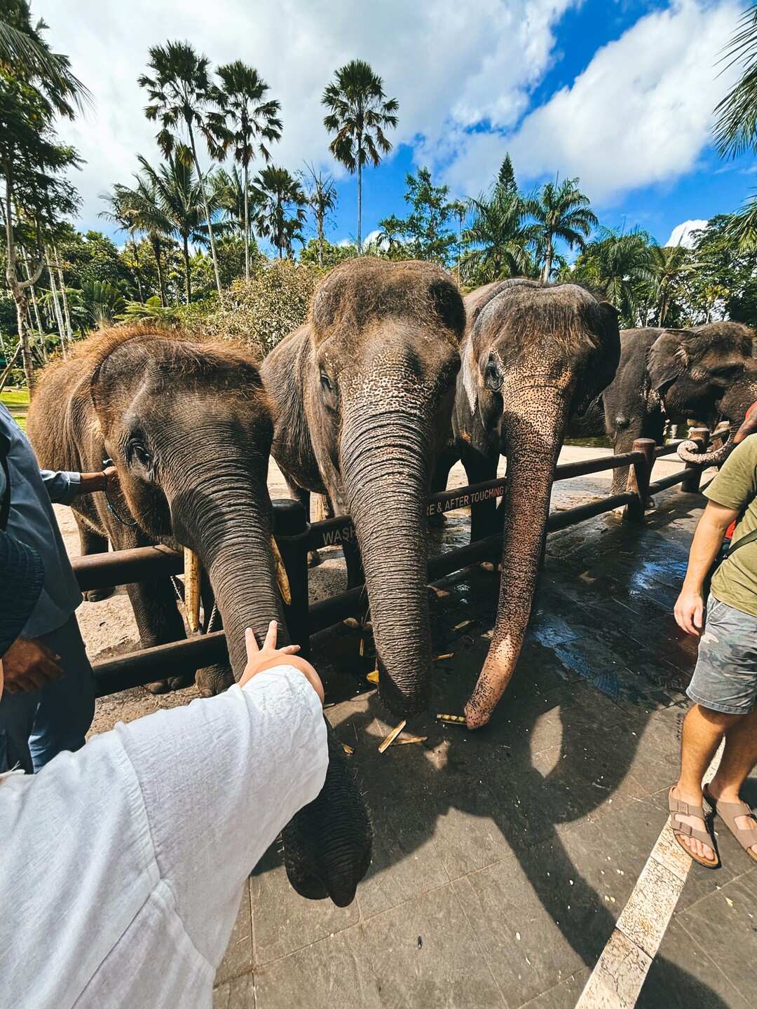 Бали, который вы ждёте! (47/89)
