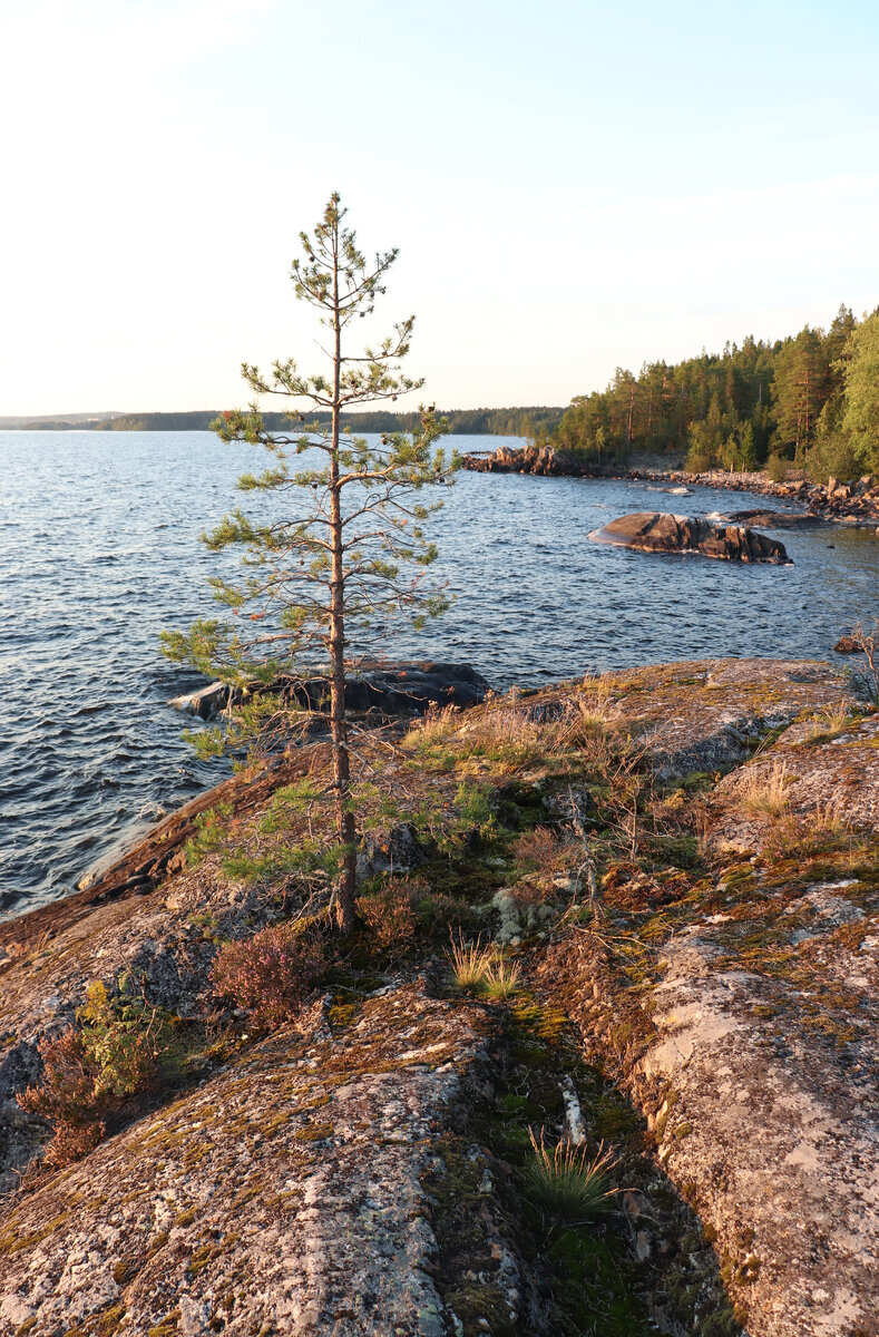 Настоящая Карелия  Северное Приладожье без толп туристов-1 день (30/31)