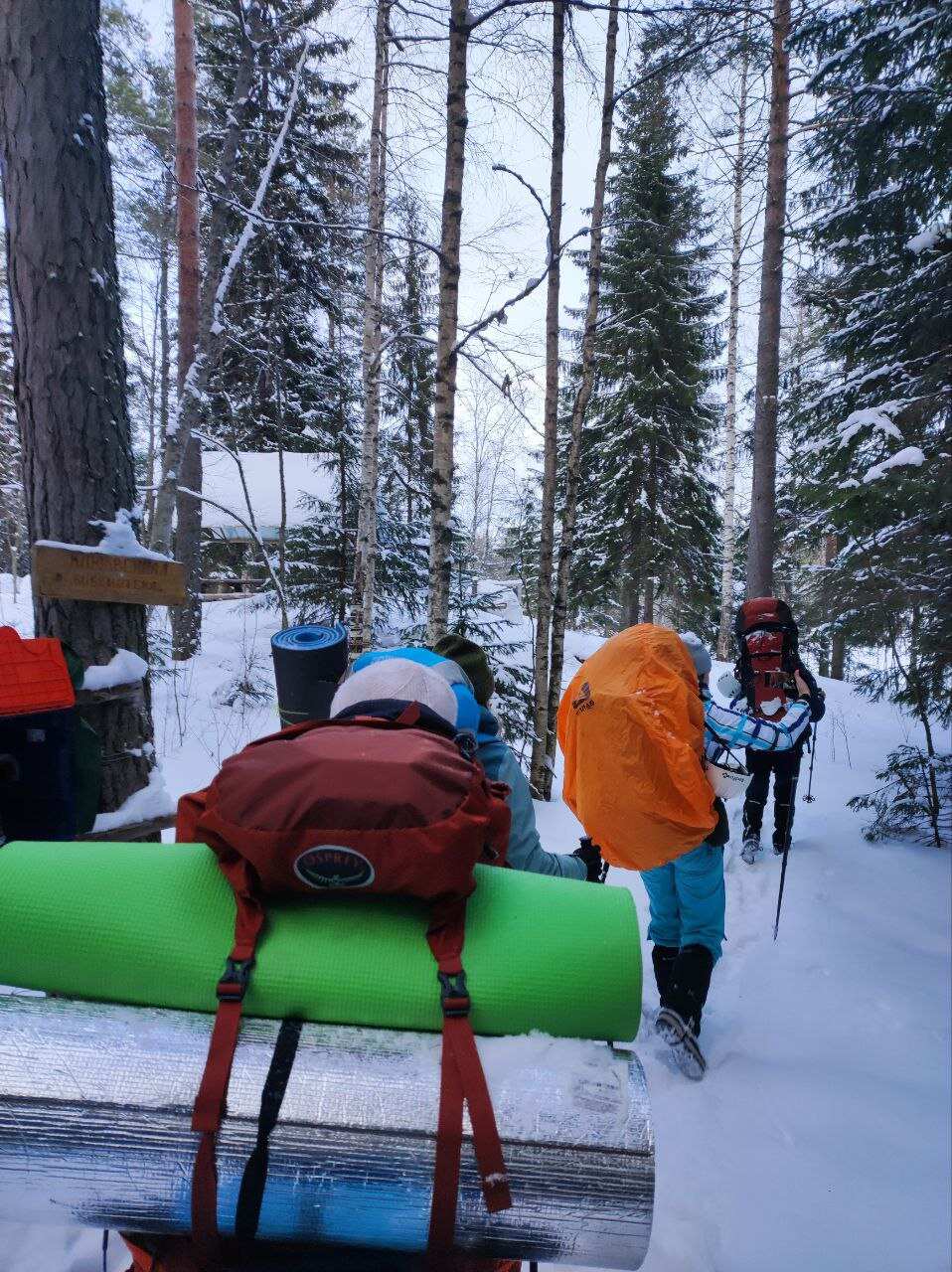 Основы альпинизма на Малых Скалах. Однодневный выезд из Петербурга (8/14)
