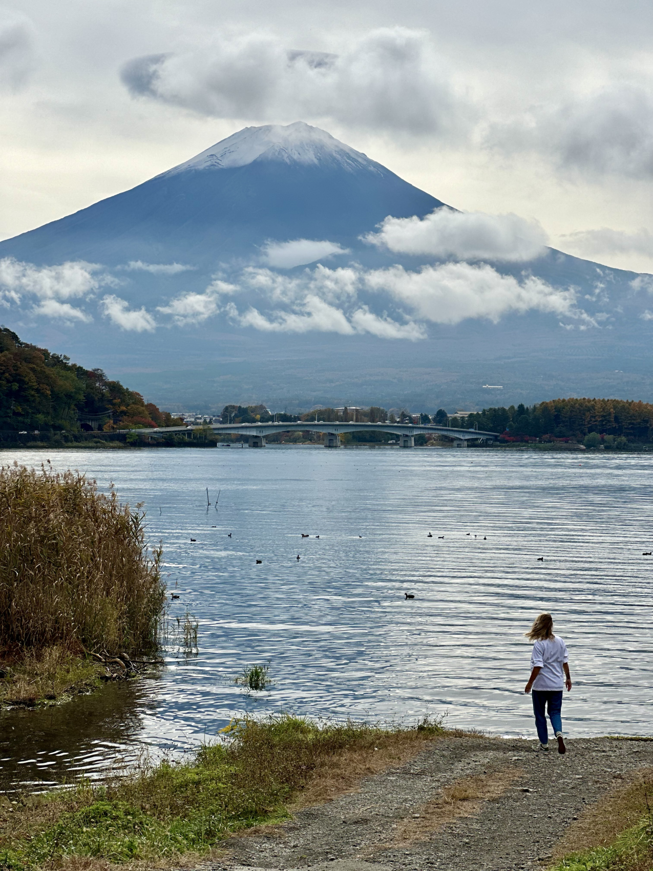 Цветение сакуры в Японии + оформление визы в подарок (11/37)