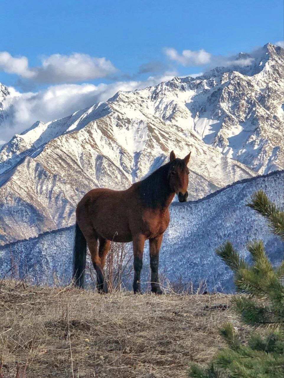 Осетия наизнанку, Золотое кольцо Осетии (5/11)