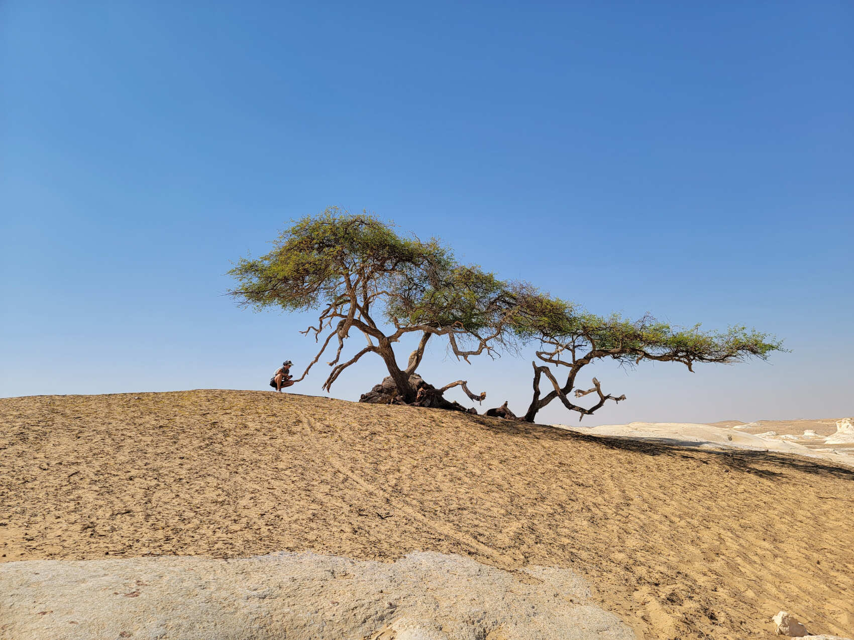 Осенний Египет: Величие Фараонов и Пески Пустынь! (10/55)