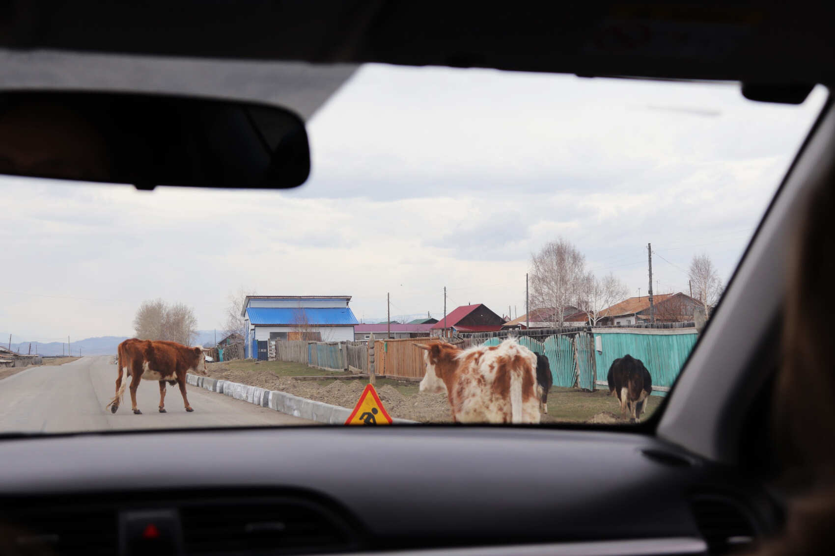  Усть-Кокса и Мультинские озера: горы и степи, старообрядцы и Рерих  (12/25)