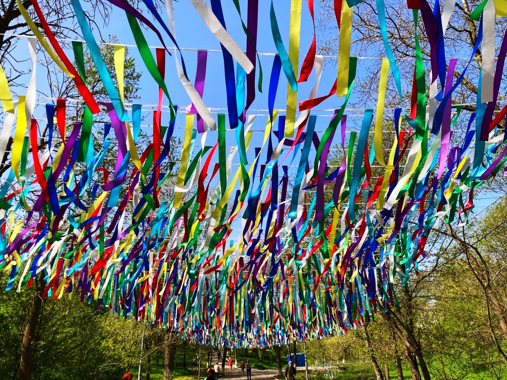 Калмыкия, тюльпанные поля, озеро Баскунчак и Золотая Элиста (5дн./5 ноч.) (11/51)