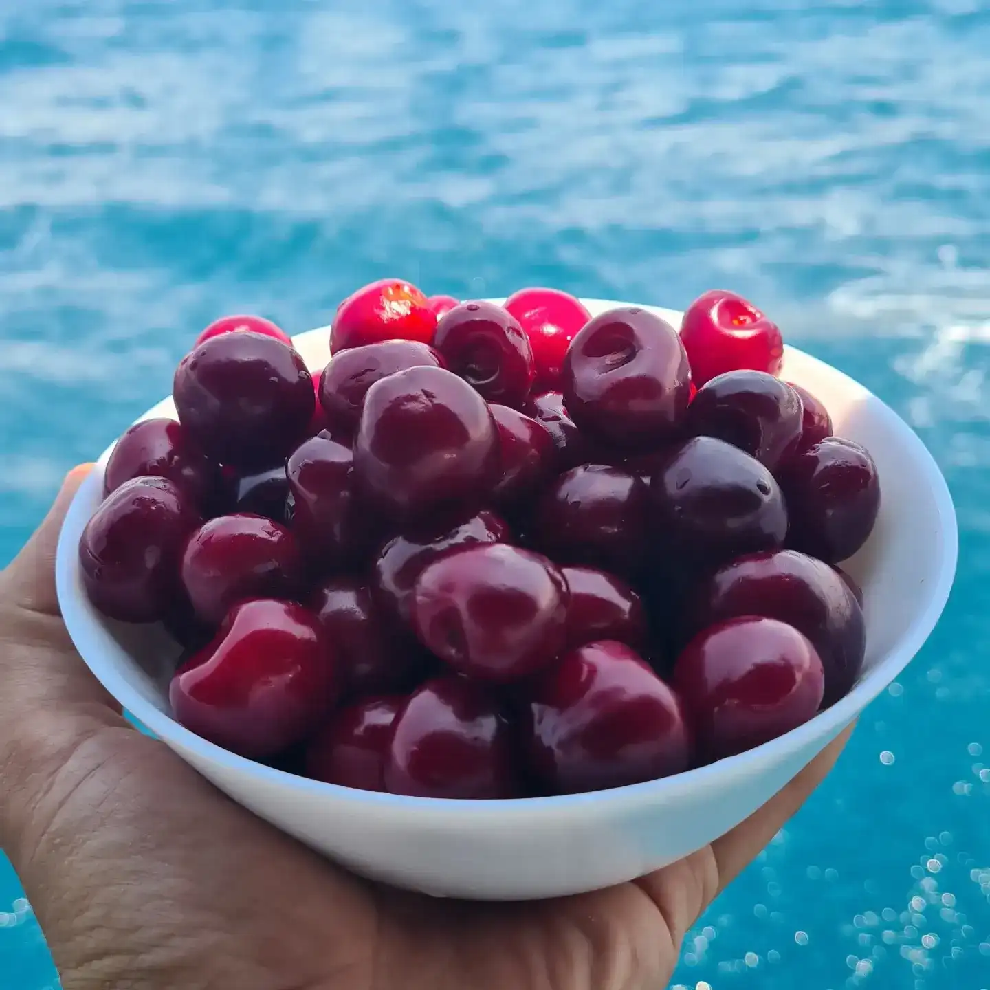 Гастротур На Парусной Яхте (на Баварии из Финике) (8/56)