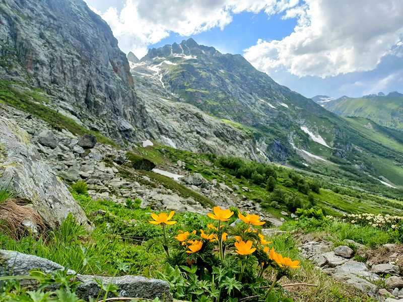 Архыз-Домбай экскурсионный (33/63)