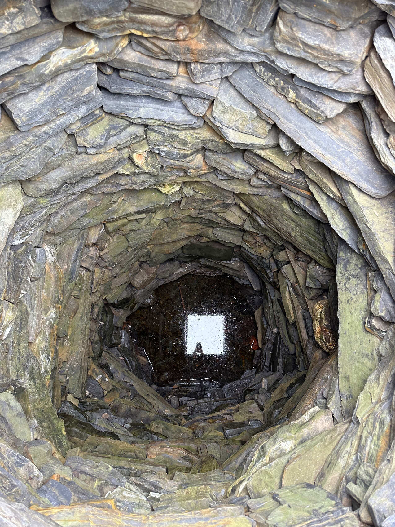 Рыбачий-Премиум 2.0: киты + джипинг + безлимит морепродуктов (по запросу, для готовых групп) (8/31)