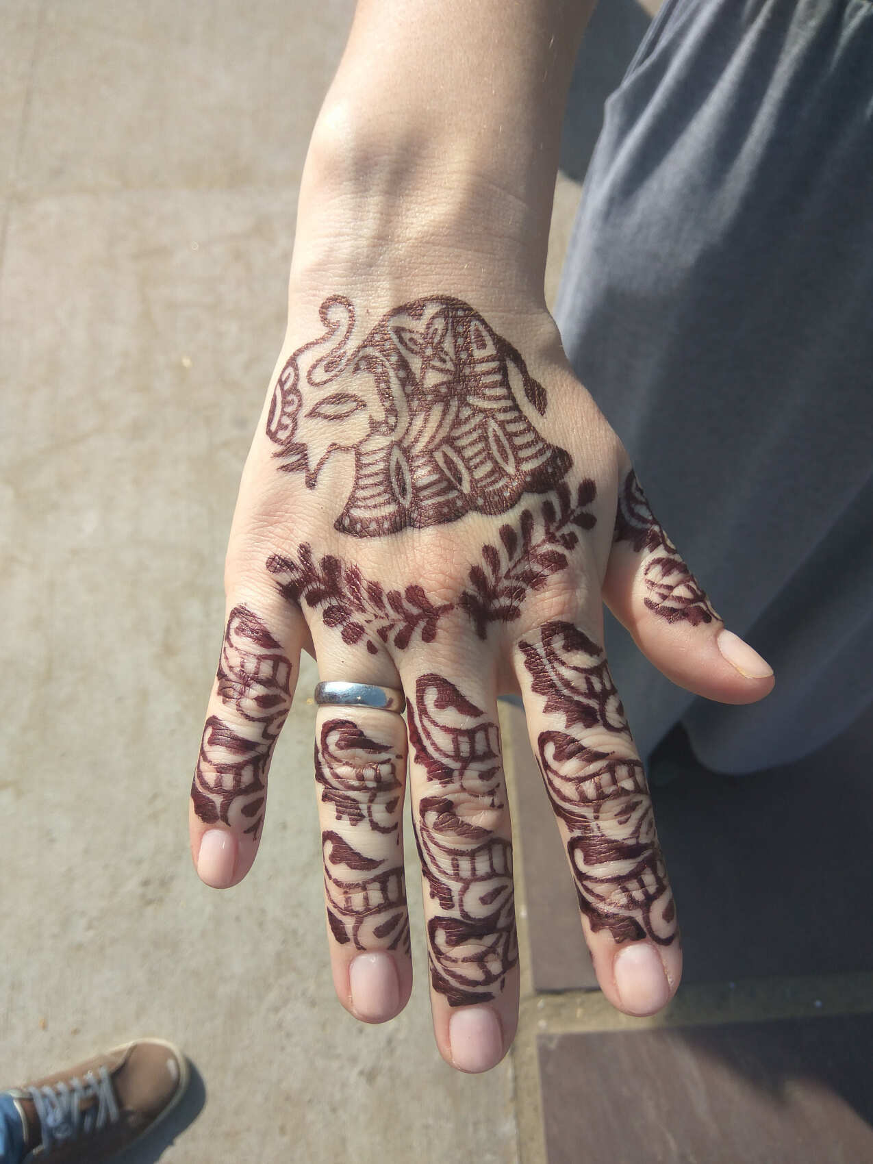 Экскурсия по Священным Гималаям и Тадж-Махалу (9/15)