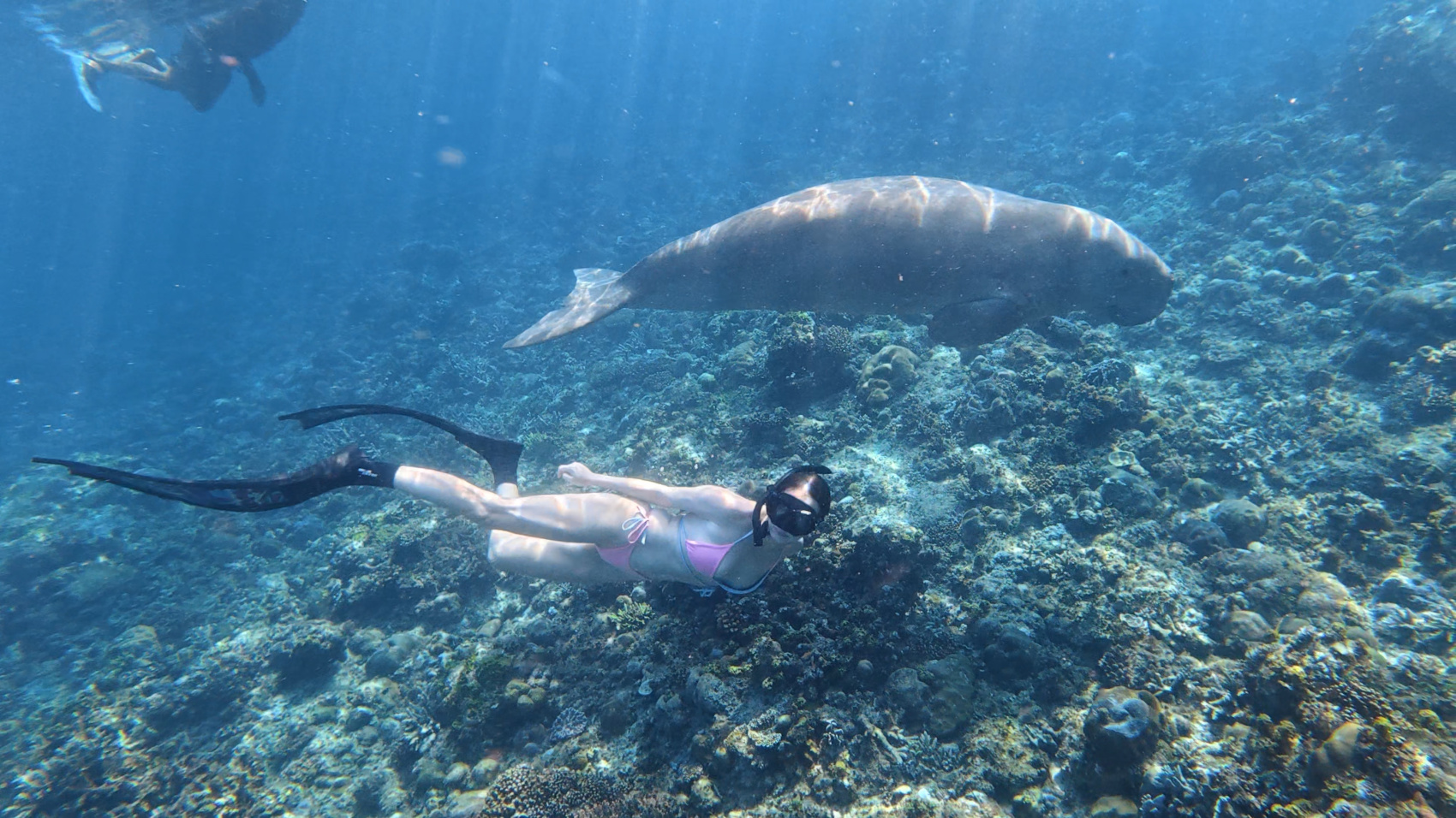 Приключения на Филиппинах: рейд по островам, джунгли и подводный мир (143/150)