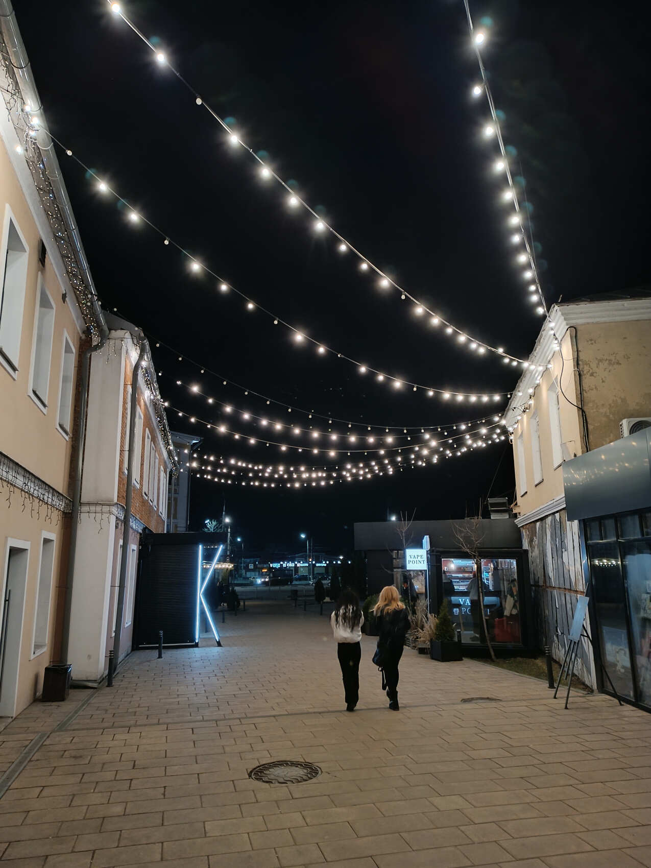 Тула, Кондуки, Куликово-Поле. Мастер-класс тульского пряника, Ясная поляна. 2 дня. (39/76)