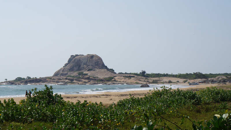 Экотрип на Шри-Ланку (55/86)