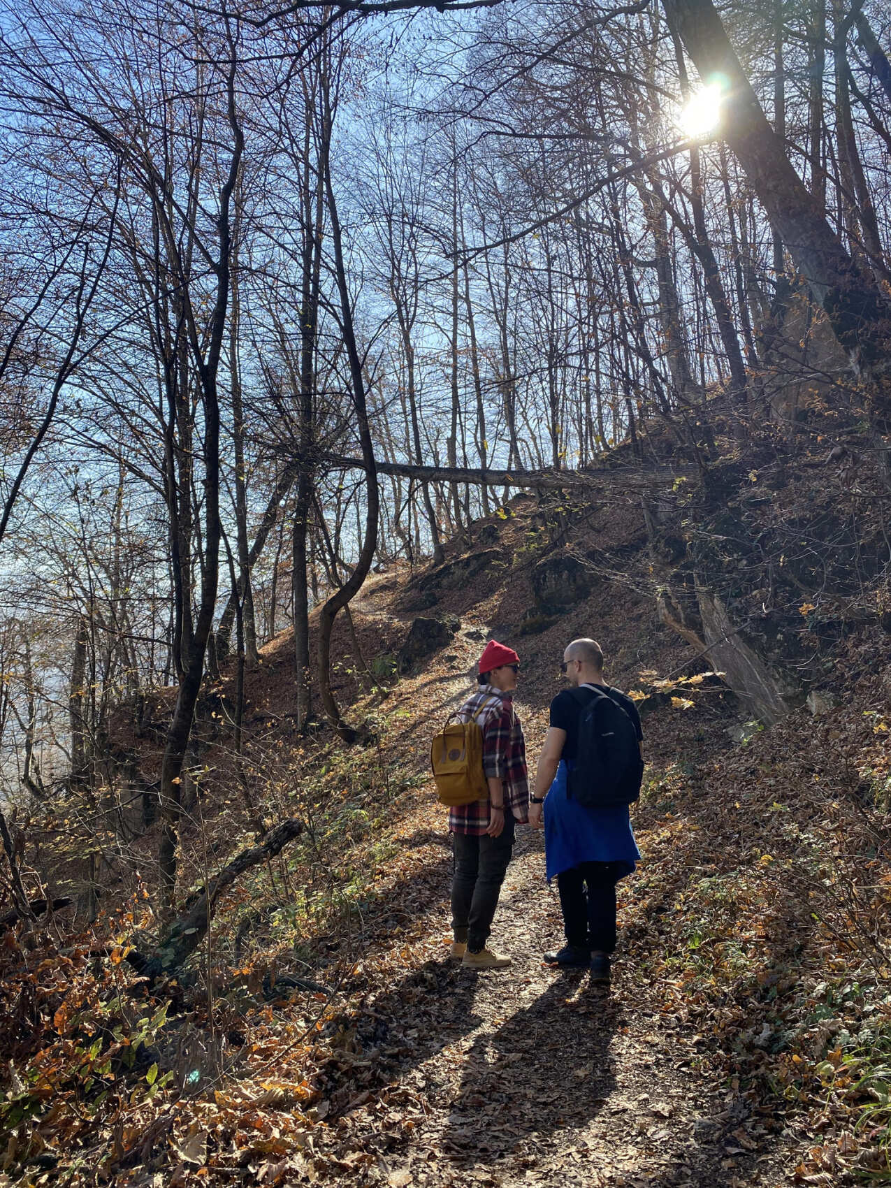 Пешая экскурсия по Дилижанскому национальному парку (19/20)