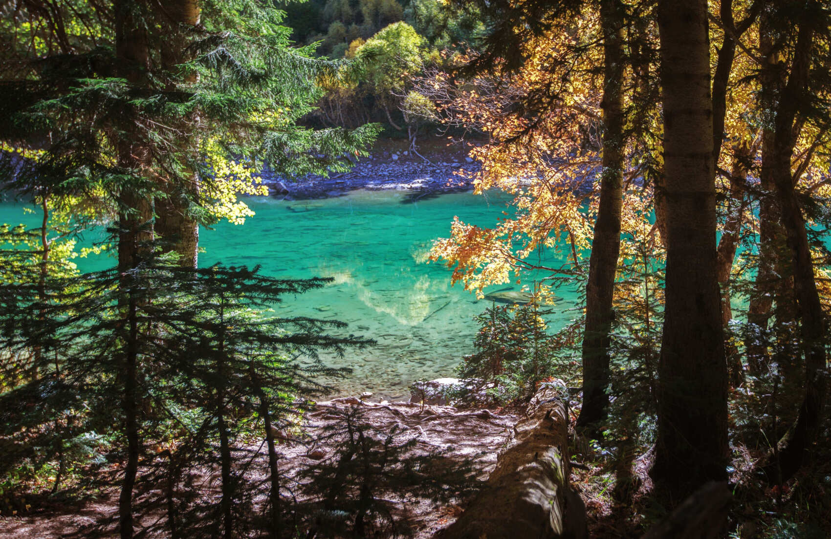 Сокровища Домбая (2/29)