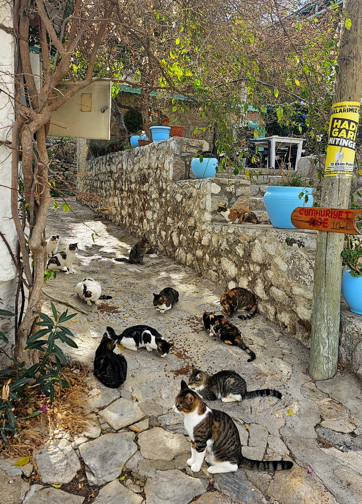 Треккинг по Карийской тропе (8 дней) (5/46)