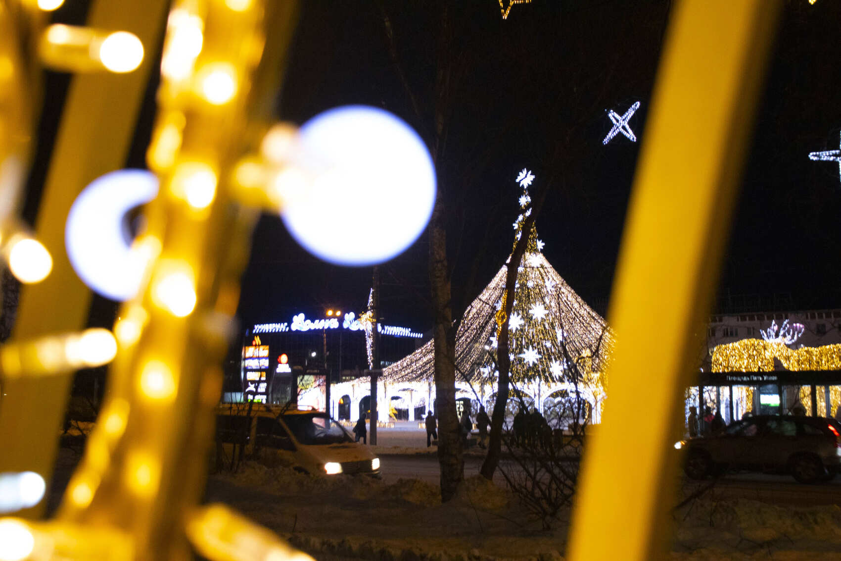 Кольский Экспресс: эко-отель в лесу + 2 экскурсии (25/26)