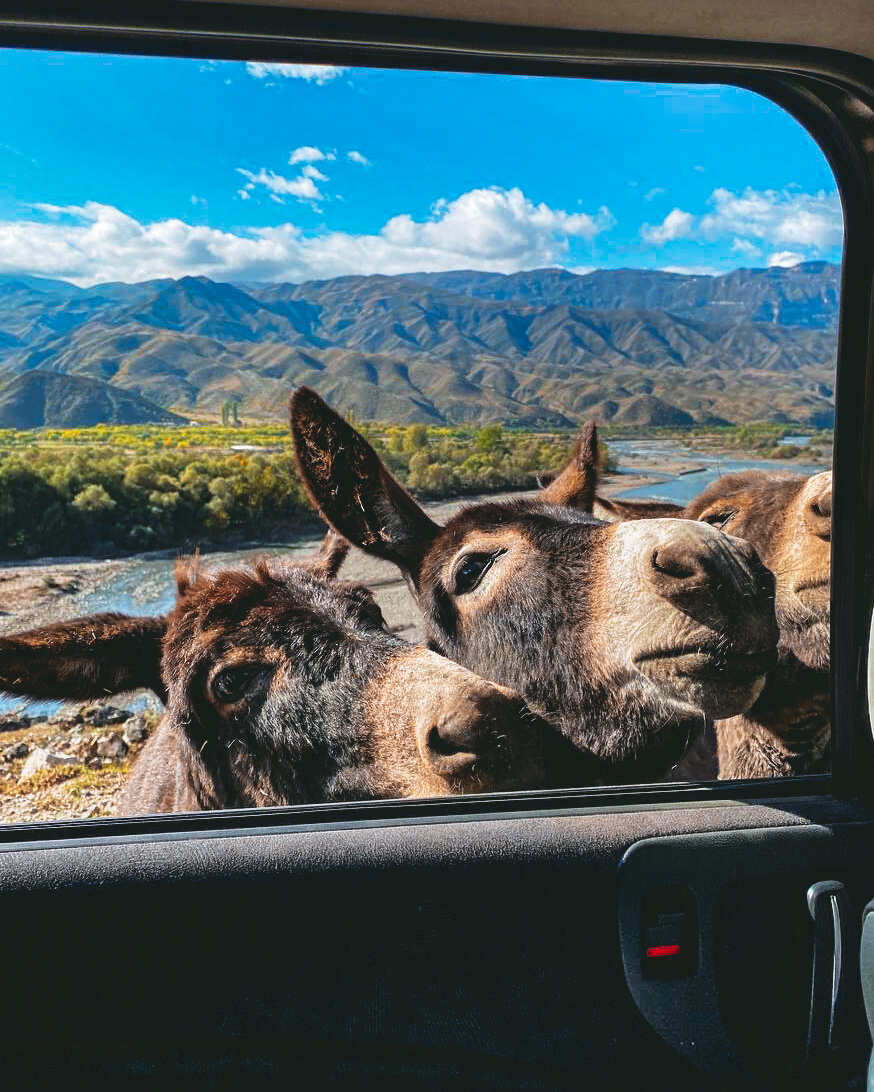  Тур выходного дня по Дагестану. ВСЕ ВКЛЮЧЕНО   (23/53)